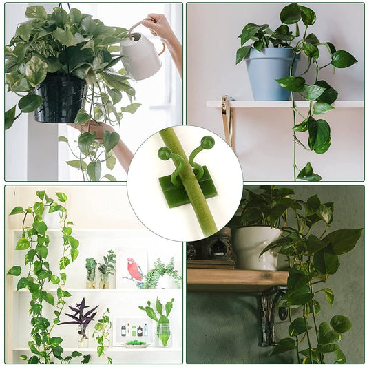 6156L Plant Climbing Wall Clips Self-Adhesive Money Plant Support Clips Vine Plant Climbing Fixing Clip DeoDap