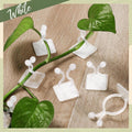 6156 wall Plant Climbing Clip widely used for holding plants and poultry purposes and all. DeoDap