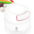 2402 Mini Garlic Chopper Mixer, Portable Cordless Grinder DeoDap